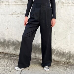 Everlane The Way-High Drape Pant